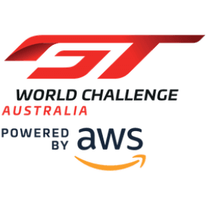 Championship logo for 